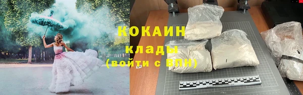 ПСИЛОЦИБИНОВЫЕ ГРИБЫ Белокуриха
