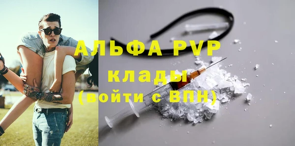 ПСИЛОЦИБИНОВЫЕ ГРИБЫ Белокуриха