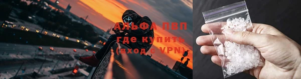 ПСИЛОЦИБИНОВЫЕ ГРИБЫ Белокуриха