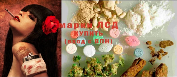 ПСИЛОЦИБИНОВЫЕ ГРИБЫ Белокуриха